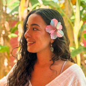 Florclip Aurora Hibiscus Rainbow