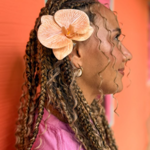 Florclip Clasica Orquidea Mariposa