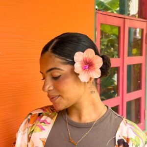 FLORCLIP AURORA SAN LUIS