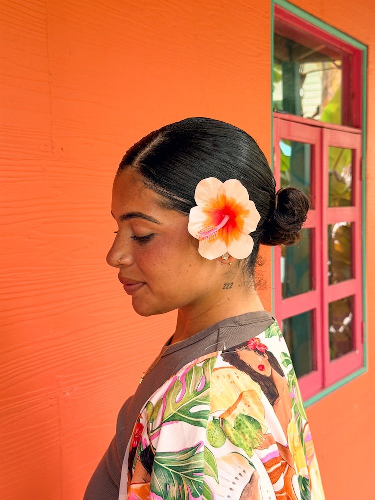 FLORCLIP AURORA SOLEIL